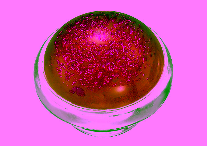 Kameleon Jewelry / Jewel Pop