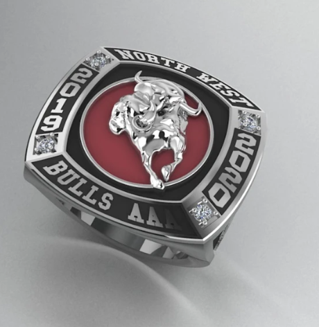 Stainless Steel Ring