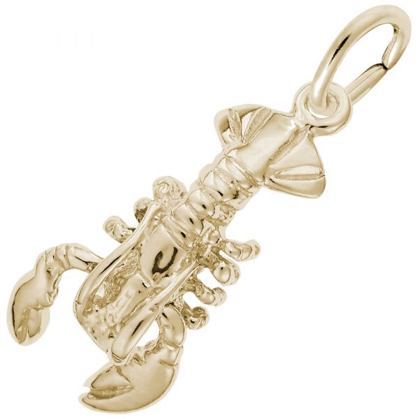 Silver Charms/Pendant