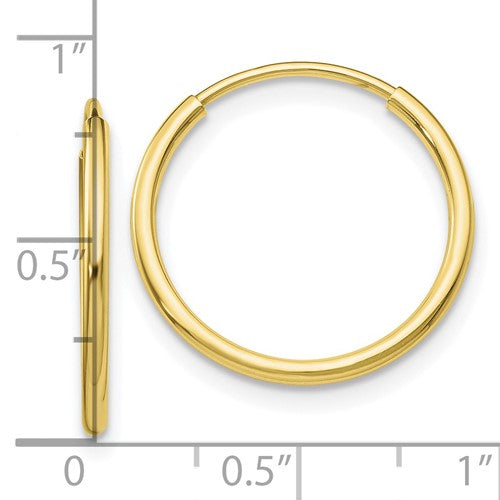 Gold Earring