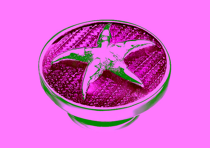 Kameleon Jewelry / Jewel Pop