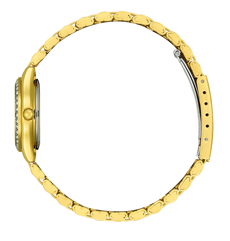 Watches Misc  -  Women